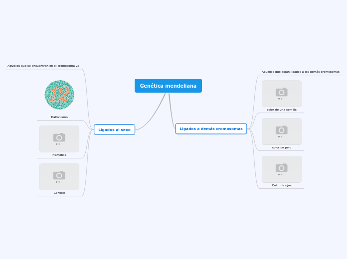 Gen Tica Mendeliana Mind Map